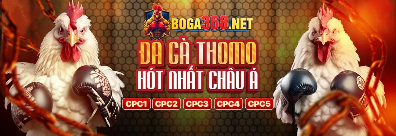 Đá Gà Trực Tuyến app fly88
